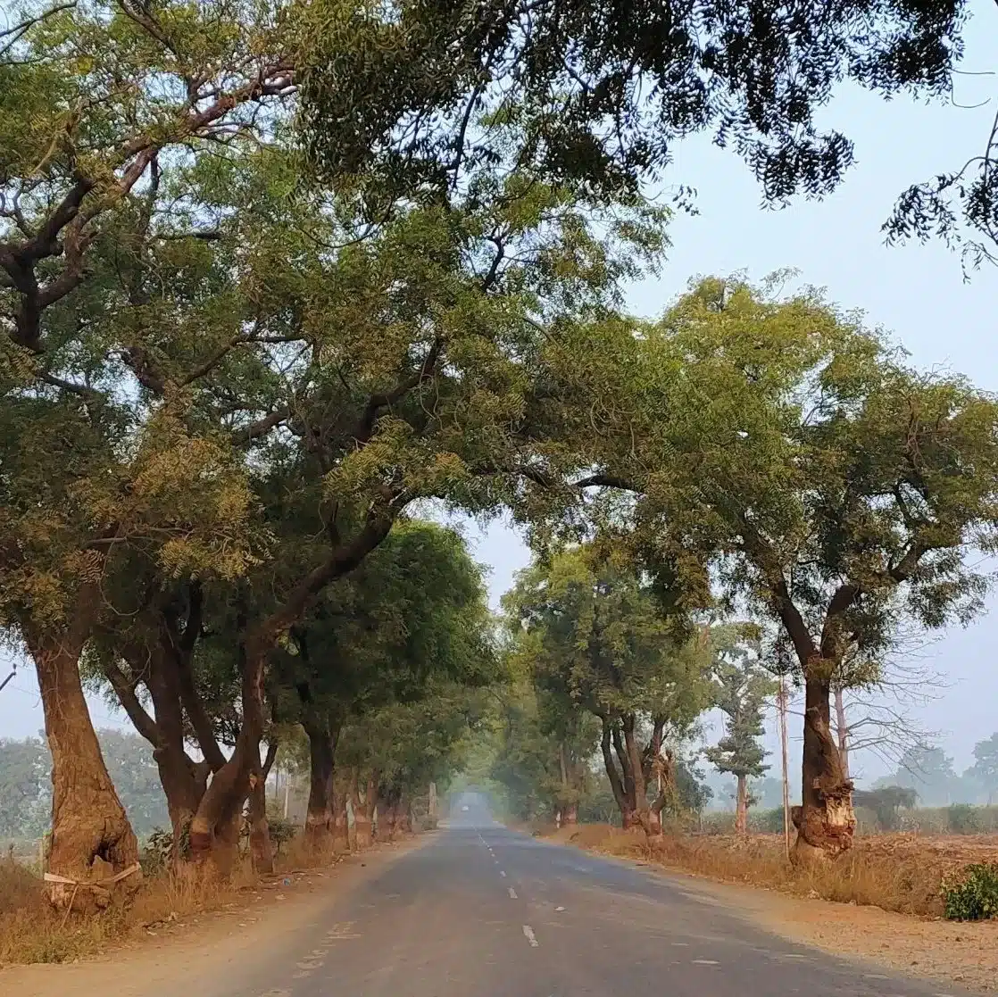 Reaching Tadoba By Road